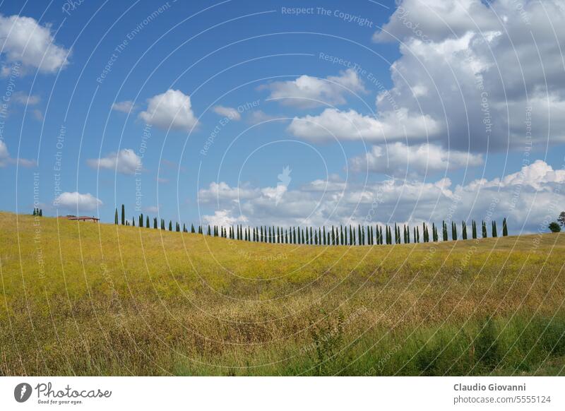 Ländliche Landschaft in der Toskana bei San Quirico d Orcia Europa Italien Monticchiello Siena Val d Orcia Ackerbau Farbe Zypresse Tag Bauernhof Feld Hügel Haus