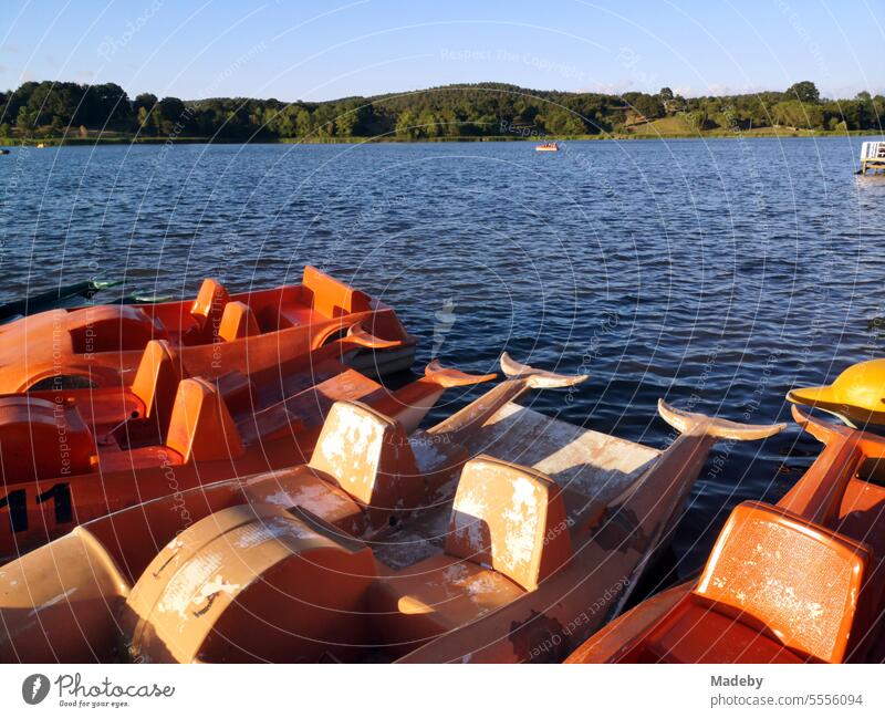 Alte Tretboote aus Kunststoff in leuchtendem Gelb und Orange im Delphin Design am Bootssteg im Sommer im Licht der Abendsonne am Poyrazlar Gölü bei Adapazari in der Provinz Sakarya in der Türkei