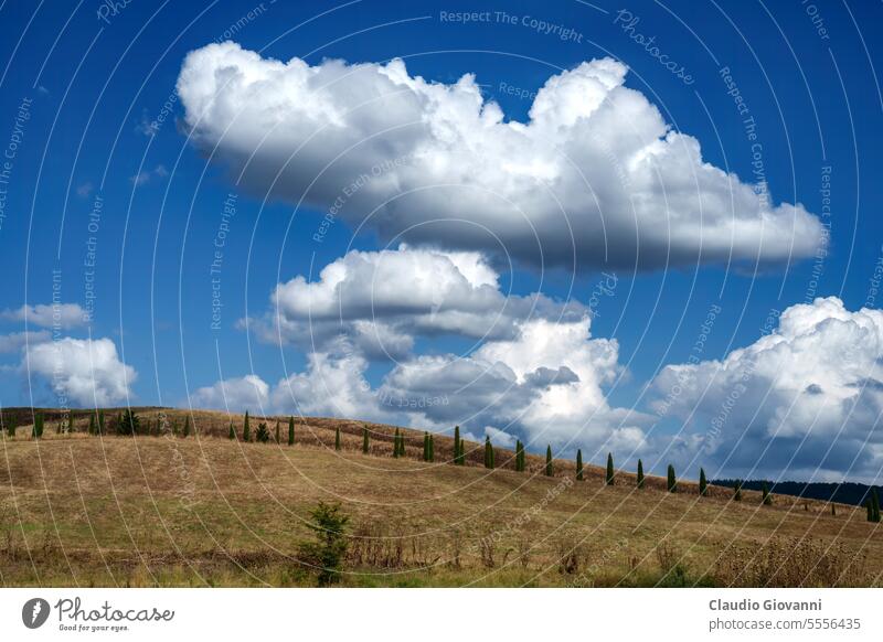 Ländliche Landschaft in der Toskana bei San Quirico d Orcia Europa Italien Siena Val d Orcia Ackerbau Farbe Zypresse Tag Bauernhof Feld Hügel Haus Natur