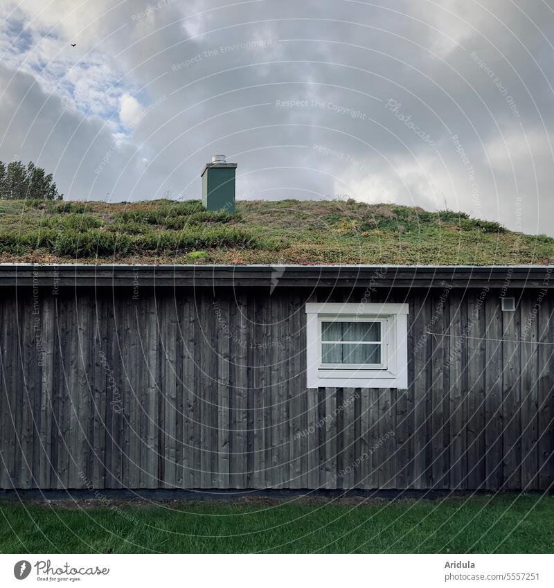 Holzhaus mit weißem Fenster und begrüntem Dach mit Schornstein Haus Passivhaus ökologisch Holzfassade Dachbegrünung Dachgarten Gebäude Holzwand Wolken Hütte