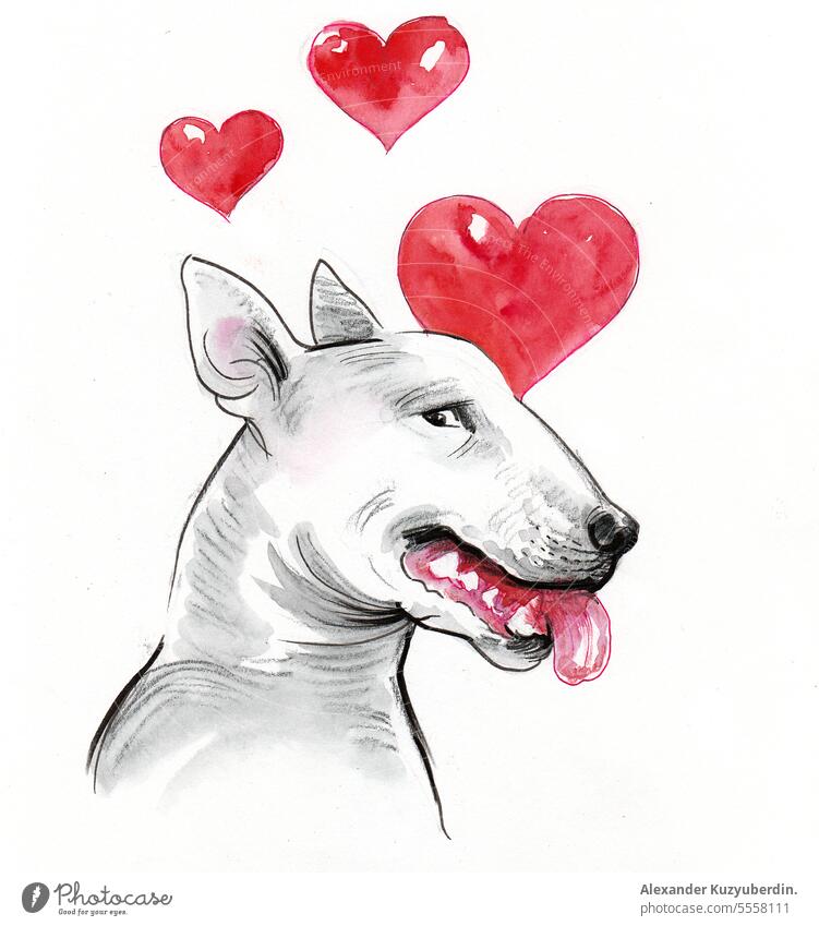 Verliebter Bullterrier. Aquarellmalerei Tier Bulle niedlich Hund lustig Herz Grafik u. Illustration Liebe Malerei Haustier Porträt Skizze Terrier Wasserfarbe