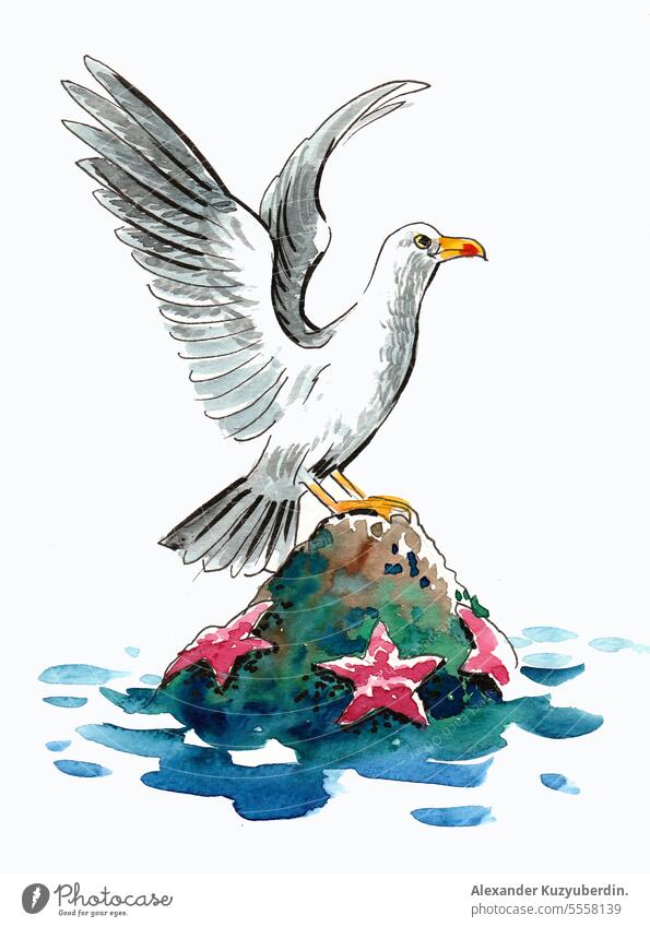 Sitzende Möwe mit ausgebreiteten Flügeln und Seesternen. Tusche und Aquarell Illustration Vogel Sahne gezeichnet Hand Eis Grafik u. Illustration vereinzelt