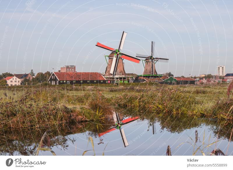 Der beliebte Touristenort Zaanse Schans liegt in der Nähe von Amsterdam im Westen der Niederlande. Historische, realistische Windmühlen bei Sonnenaufgang. Das Wahrzeichen Hollands