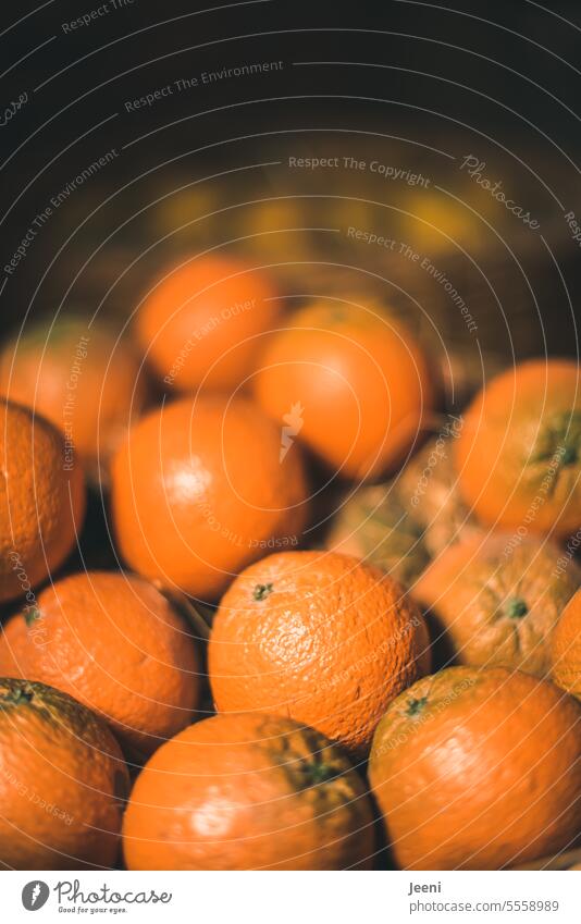 Passend zur Weihnachtszeit ein paar leckere Orangen Apfelsine Frucht frisch Gesundheit Lebensmittel Zitrusfrüchte süß saftig organisch Vitamin reif orange