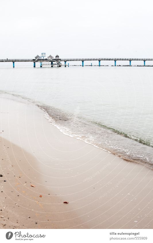 Du suchst das Meer Ferien & Urlaub & Reisen Tourismus Ausflug Strand Winter Wasser Himmel Horizont schlechtes Wetter Ostsee Insel kalt ruhig Einsamkeit maritim