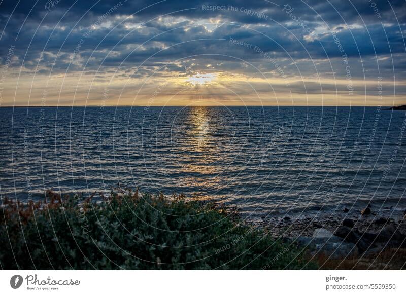 Die Sonne schickt sich an unterzugehen - in quer Pflanze Felsen Reflexion & Spiegelung schön Dämmerung Wasser Sonnenstrahlen Sonnenuntergang Sommer blau