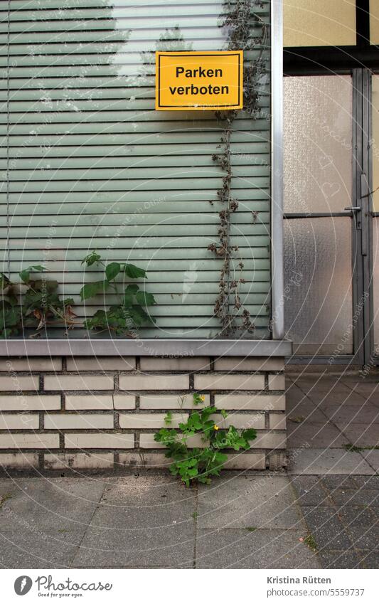 parken verboten - pflanzen erlaubt parkverbot schild fenster jalousie lamellen zimmerpflanzen unkraut verlassen leer natur parkplatz info hinweis schaufenster