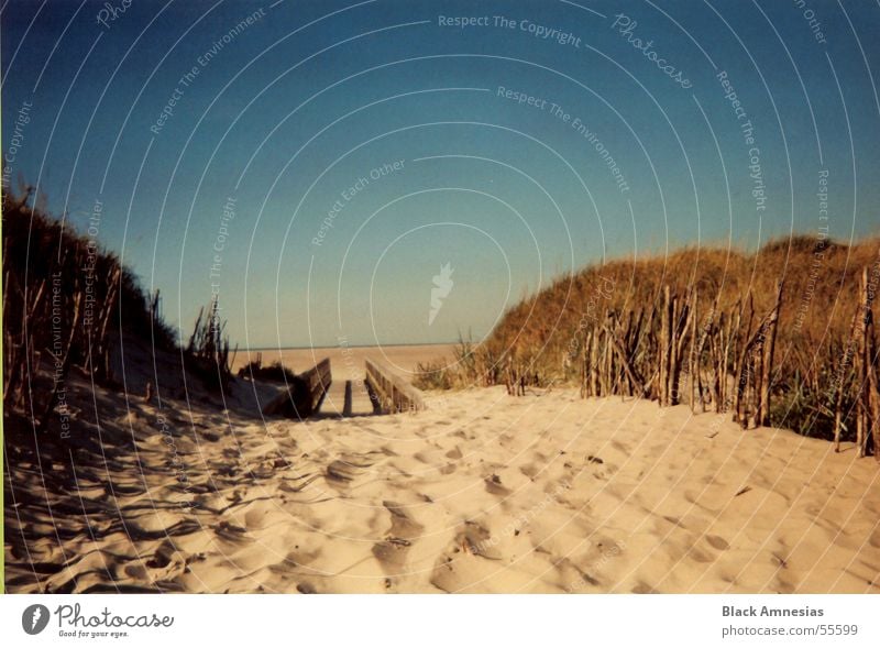 sand zwischen den zehen Strand Ferien & Urlaub & Reisen Sand noch mehr sand kein schöner strand Wege & Pfade Himmel blau Nordsee St. Peter August