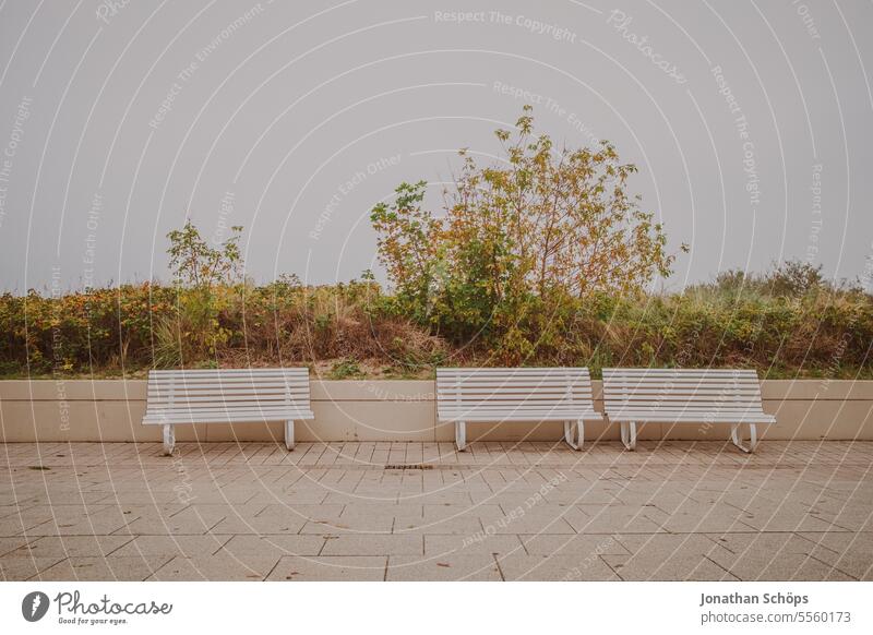 Bänke an der Promenade in Warnemünde Herbst Meer Nebensaison Ostsee Reisen Strand Urlaub Winter Bank Sitzbank sitzbänke weiß leer herbstlich minimalistisch