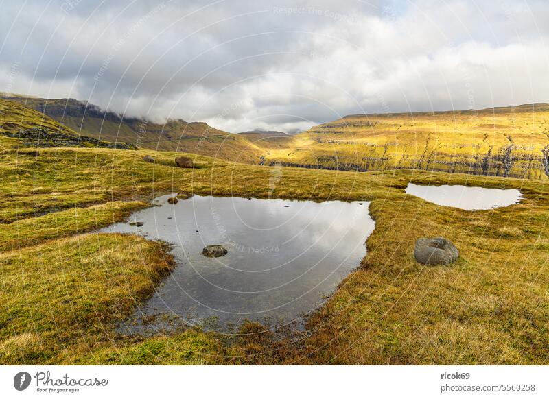 Landschaft auf der Färöer Insel Streymoy Pfütze Dänemark Berg Klippen Natur Wasser Stein Felsen Gras grün Herbst Himmel Wolken blau Idylle Urlaub Reise