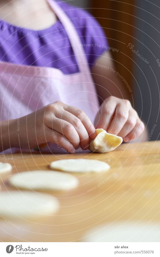 mit Fleisch gefüllte Teigtaschen Lebensmittel Teigwaren Ernährung Essen Mittagessen Abendessen Russisch Küchentisch feminin Kind Kleinkind Hand 3-8 Jahre