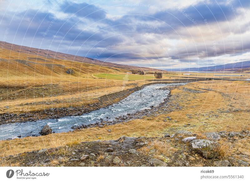 Landschaft mit Fluss im Osten von Island Insel Wasser Baum Gras Weide Wiese Natur Felsen Berg Stein Herbst Himmel Wolken blau Idylle Urlaub Reise Reiseziel