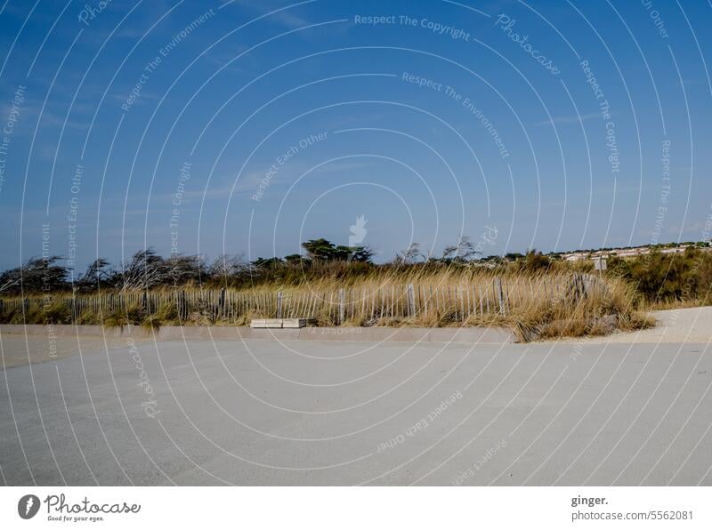 Unterwegs an der Meeresküste - Weg, Zaun, Gräser, Sträucher, Bäume Landschaft Umwelt Außenaufnahme Natur Menschenleer Farbfoto grün Tag Baum Pflanze