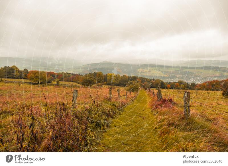 Herbst in der Rhön I Landschaft Farbfoto Natur Herbstlandschaft Herbstfärbung Herbstlaub Herbststimmung Außenaufnahme Herbstwetter Jahreszeiten Regenwetter