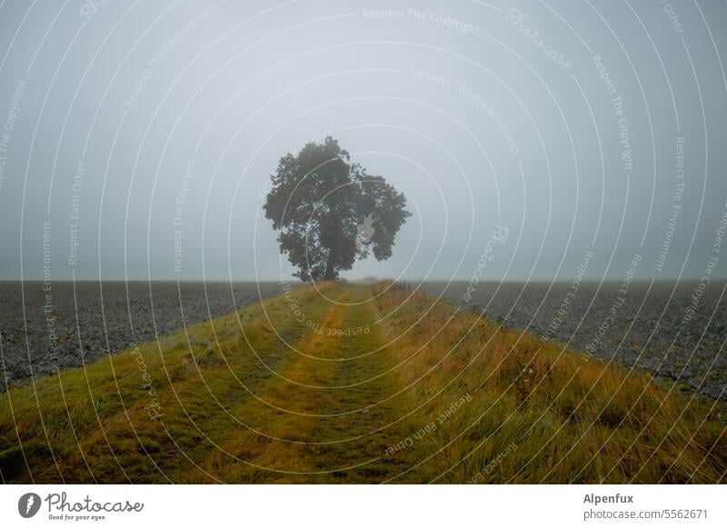 Herbst in der Rhön IV Landschaft Farbfoto Natur Herbstlandschaft Herbstfärbung Herbstlaub Herbststimmung Außenaufnahme Herbstwetter Jahreszeiten Regenwetter