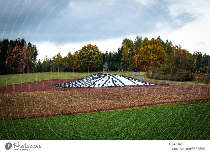 gelandet Feld Herbst Acker Landwirtschaft Außenaufnahme Ackerbau Menschenleer Vorrat vorrat reserve Landschaft Natur Wald Herbstfärbung Wiese grün Herbstwetter