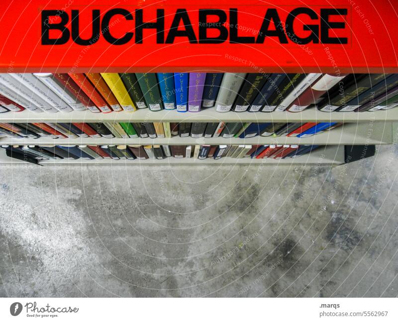 Buchablage Bibliothek lesen Wissen Bildung lernen Literatur Studium Information Schule Weisheit Wissenschaften Bücher Universität Perspektive Schriftzeichen