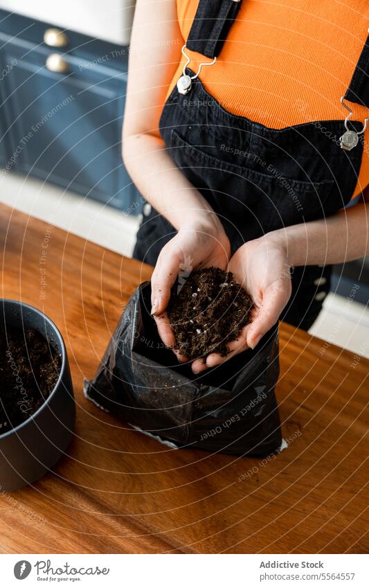 Unbekannte Person, die zu Hause steht und Erde in den Händen hält Gärtner Pflanze Kasten Garten Hobby Boden Topf fruchtbar heimwärts Hand organisch führen