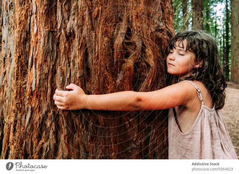 Ruhiges kleines Mädchen umarmt riesigen alten Baumstamm im Wald Umarmung Kofferraum wenig Natur niedlich Umarmen bezaubernd Kind Kindheit tagsüber Freude Liebe