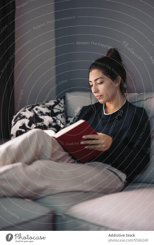 Junge Frau sitzt auf dem Sofa und liest ein Buch im Tageslicht lesen lernen Etage sich[Akk] entspannen Komfort Zeitvertreib Wohnzimmer zu Hause jung Freizeit