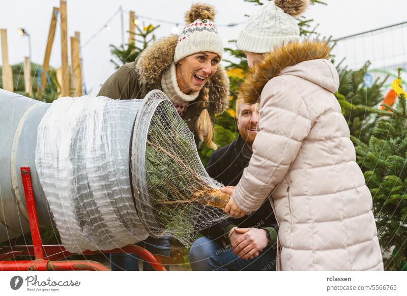 Tochter zieht einen gefällten, in ein Plastiknetz verpackten Weihnachtsbaum auf einem Weihnachtsmarkt hoch Teamwork kaufen Hilfsbereitschaft Kind