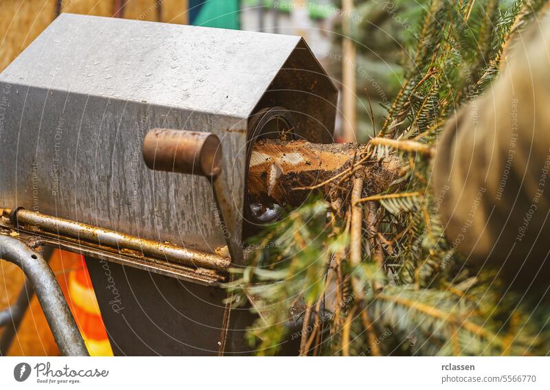 Mann beim Anspitzen eines Weihnachtsbaums in einer Maschine auf einem Straßenmarkt Winterwunderland Dezember Weihnachtsmarkt Deutschland Markt Werkstatt Kauf