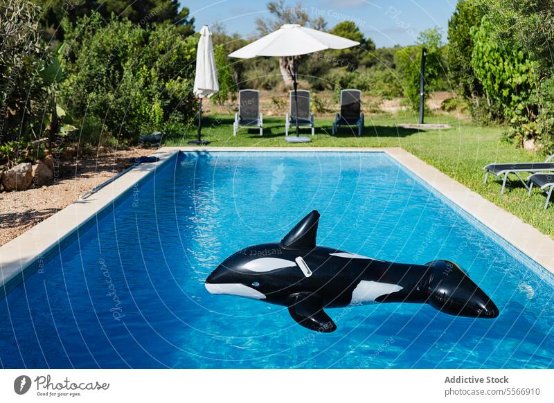 Aufblasbarer Orca in einer ruhigen Poolumgebung mit Liegestühlen. aufblasbar Spielzeug blau Wasser Wal Regenschirm Grün sich[Akk] entspannen schwimmen