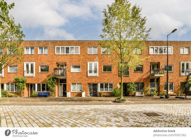 Gebäudefassade mit Bäumen und Pflanzen an der Straße Außenseite Appartement leer Baum wolkig Himmel sonnig Konstruktion Fenster Backsteinwand wohnbedingt Haus