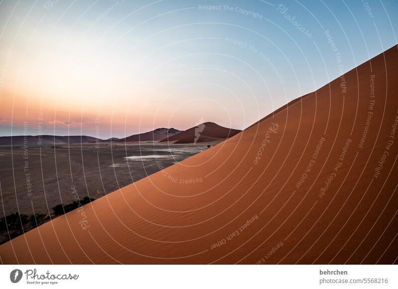 himmel und erde stille romantisch Morgendämmerung Dämmerung Sonnenaufgang sanddüne Dünen magisch beeindruckend besonders traumhaft Abenteuer Einsamkeit Freiheit