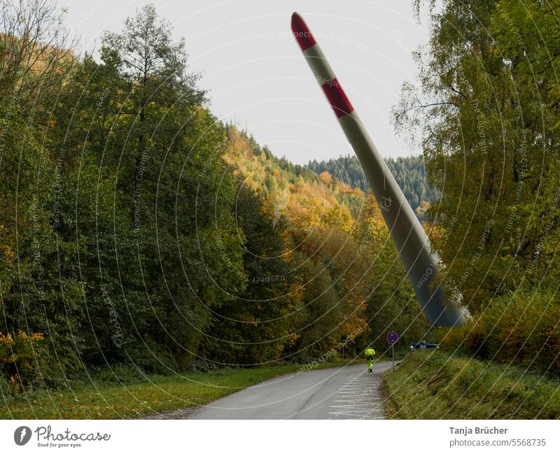 Rotorblatt eines Windparks beim Transport durch den Wald Spezialtransport Steuerung des Transporters Rotorblatt auf dem Weg Durch den Wald Windkraftanlage