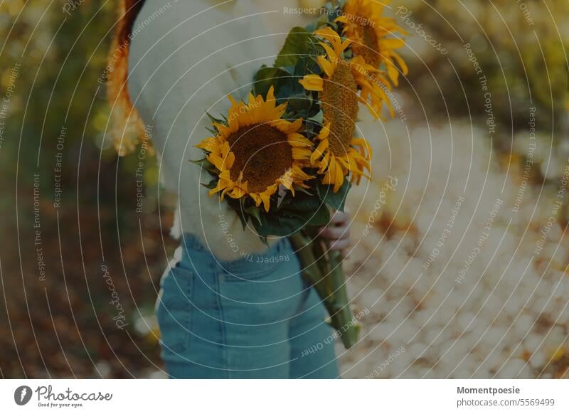 Sonnenblumen Strauß schenken Liebe Muttertag Geburtstag Valentinstag romantisch niedlich süß hübsch schön freundlich Freude Glück Blumen Pflanzen Herbst