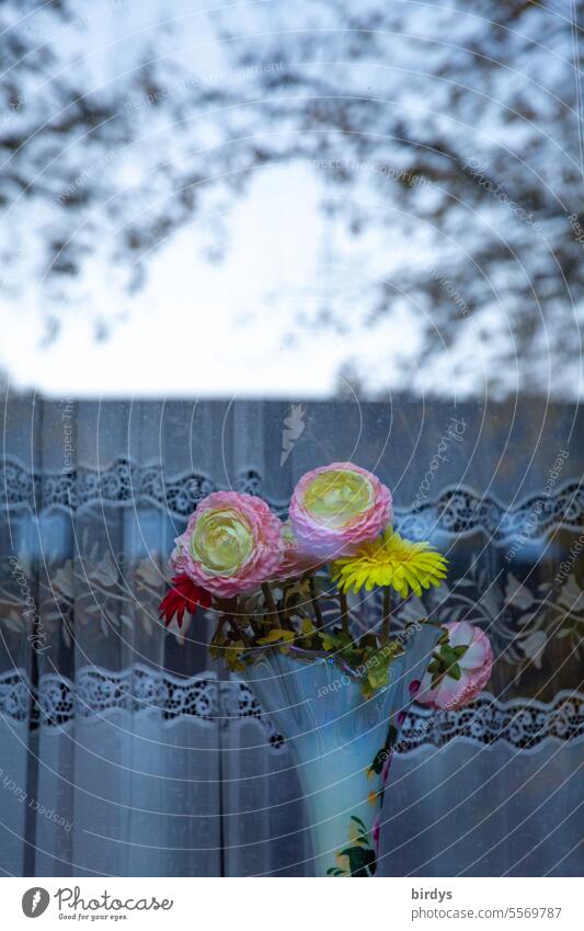 blühende Schnittblumen in einer Vase hinter einem Fenster Blumen Dekoration Gardine Blumenstrauß Blüte Spiegelung Glas Porzellanvase Dekoration & Verzierung