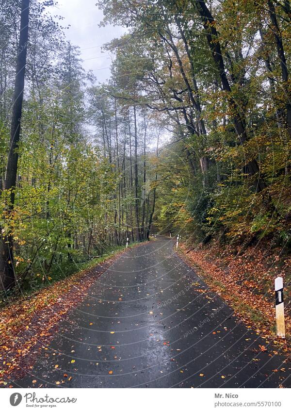 Landstraße Herbstwetter Straße Verkehrswege on the road Roadmovie unterwegs leere Straße roadtrip Wege & Pfade Fahrbahn Autofahren Asphalt Straßenverkehr