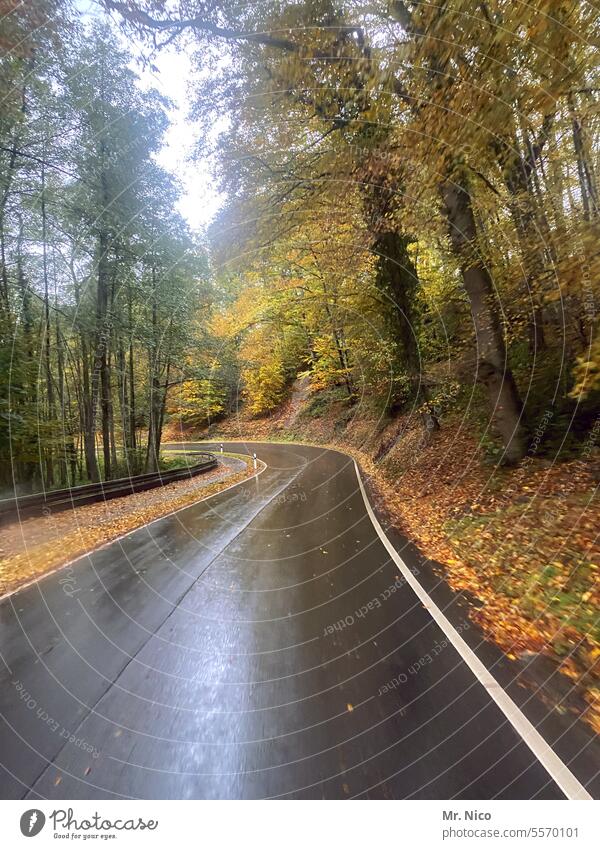 Landstraße Umwelt Herbst Baum Straßenrand außerorts Straßenverkehr Asphalt Wege & Pfade on the road Fahrbahn Autofahren roadtrip leere Straße Roadmovie