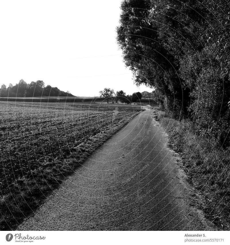 Feldweg neben einem gepflügten Acker nach der Ernte Ackerland gepflügtes Feld Landwirtschaft Ackerbau Ackerboden Weg Wirtschaftsweg Hecke Natur