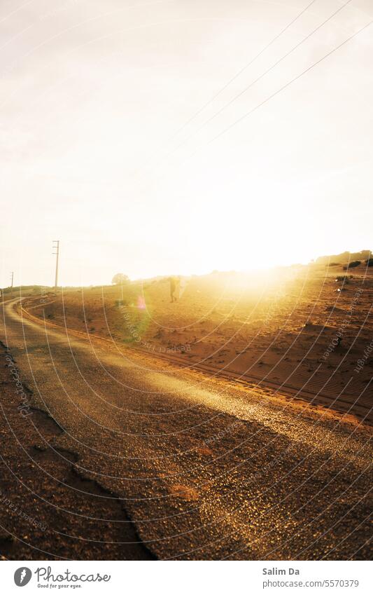 Die goldene Stunde der Landstraße Natur Straße Sonnenuntergang Naturerlebnis Natur-Foto Landschaft Straßenrand Autoreise Landleben Landliebe Fahrbahn