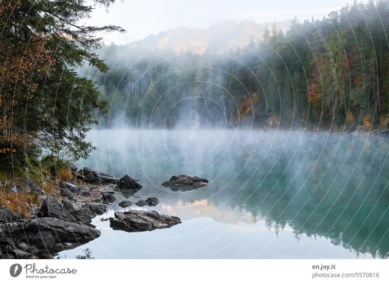 Mystischer Eibsee mystisch Nebel Spiegelung Bayern Berge u. Gebirge Herbst Zugspietzbahn Ruhe Urlaub Menschenleer Reise Reisefotografie morgens einsam Alpen