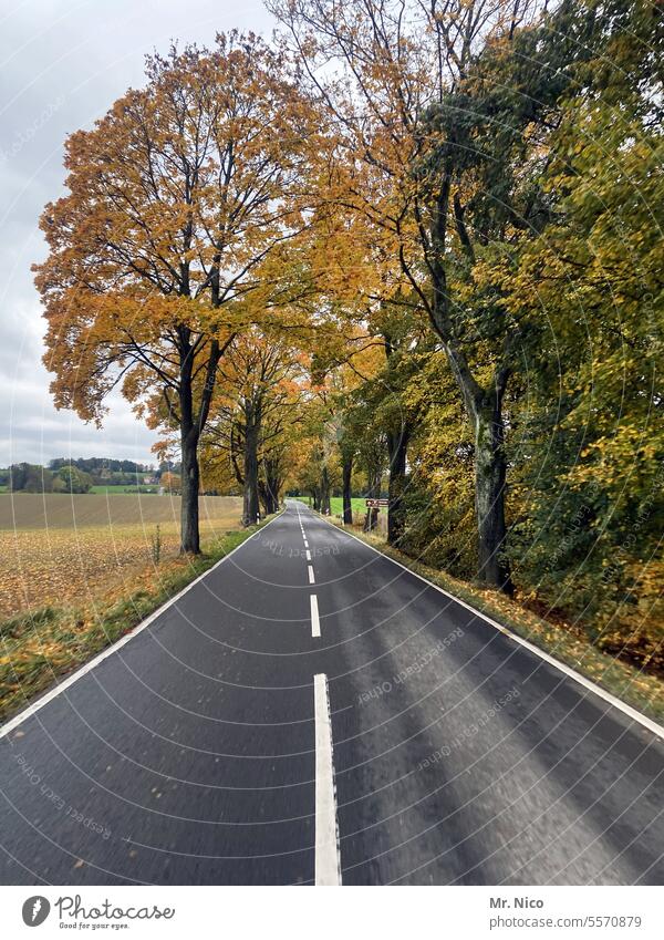 Landstraße Straße unterwegs Verkehrswege Roadmovie roadtrip leere Straße Autofahren Fahrbahn on the road Straßenverkehr Asphalt Wege & Pfade außerorts geradeaus