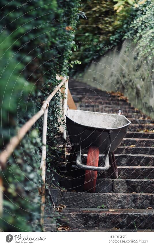 VERIRRTE SCHUBKARRE - TREPPE - HERBST Schubkarre bunte Blätter laub grün Treppe verirrt Gartenarbeit herbstlich Natur Herbst Laub Farbfoto