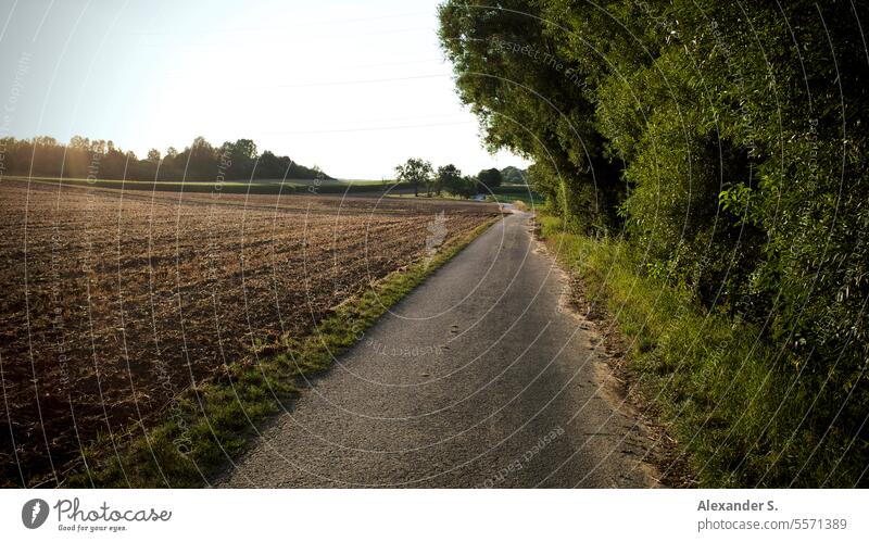 Feldweg neben einem gepflügten Acker nach der Ernte Ackerland gepflügtes Feld Landwirtschaft Ackerbau Ackerboden Weg Wirtschaftsweg Hecke Natur