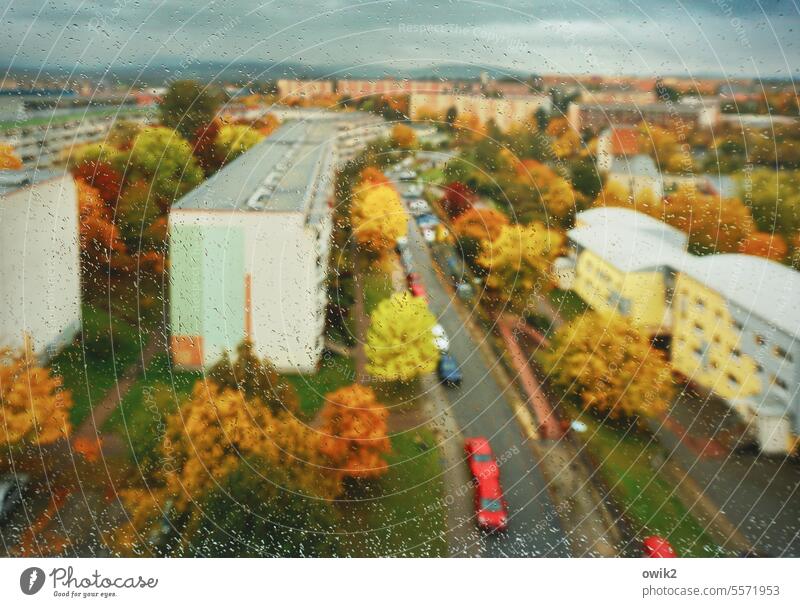 Die Aussichten Fenster Ausblick Herbst Bäume Laubfärbung wohnblöcke Farbfoto Himmel Menschenleer Natur Blätter Sonnenlicht Herbstfarben Regen Regentropfen