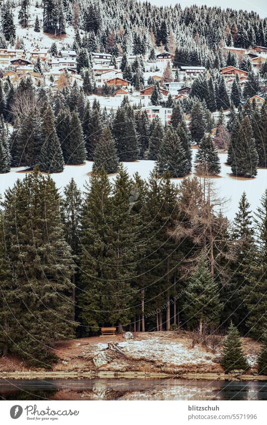 Bergsee an einem November Morgen, kleine Halbinsel mit Bank Eis Kälte Berge Schweiz Lenzerheide Vaz/Obervaz Graubünden Berge u. Gebirge Alpen