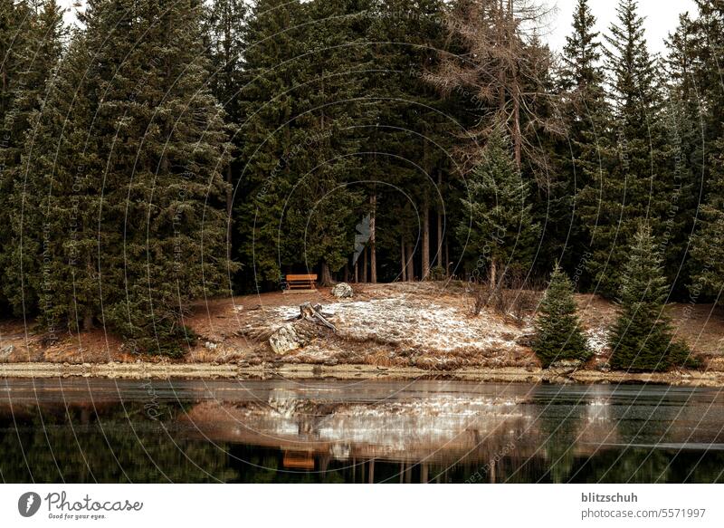 Bergsee an einem November Morgen, kleine Halbinsel mit Bank Eis Kälte Berge Schweiz Lenzerheide Vaz/Obervaz Graubünden Berge u. Gebirge Alpen