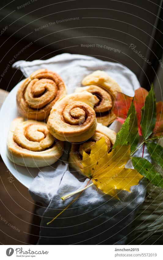 ein Teller mit 5 Zimtschnecken steht auf einer Bank als Deko sieht man bunte Herbstblätter backen Gebäck Schweden gemütlich Blätter essen genießen Lebensmittel