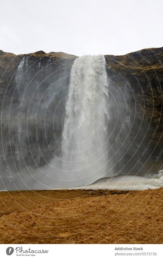 Schöner Wasserfall und felsige Klippe in Island platschen schön majestätisch reißend Felsen Klarer Himmel Landschaft reisen Natur Wildnis fließen prunkvoll