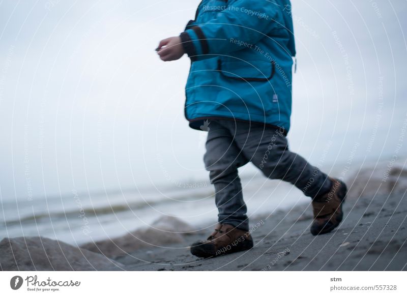 strandspaziergang Gesundheit Spielen Kinderspiel Spaziergang Strandspaziergang Ferien & Urlaub & Reisen Ausflug Abenteuer Ferne Freiheit Meer Winter Kleinkind