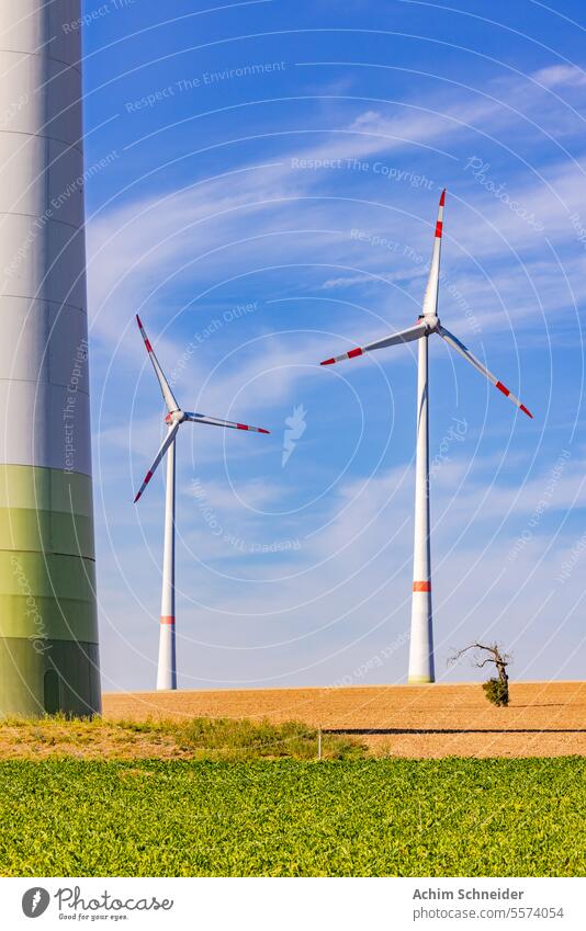 Einsamer Baum in trockenem Feld neben riesigen Windrädern im Sonnenschein als Hochkantbild Windturbinen aufrecht Natur künstlich Ackerbau natürlich Struktur