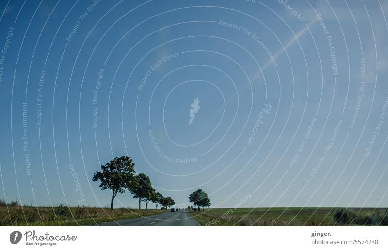 Landstraße in Frankreich Straße Bäume Himmel Wolken Sommer Tag Außenaufnahme Farbfoto Menschenleer Umwelt Landschaft Sonnenlicht Schönes Wetter Baum grün Natur