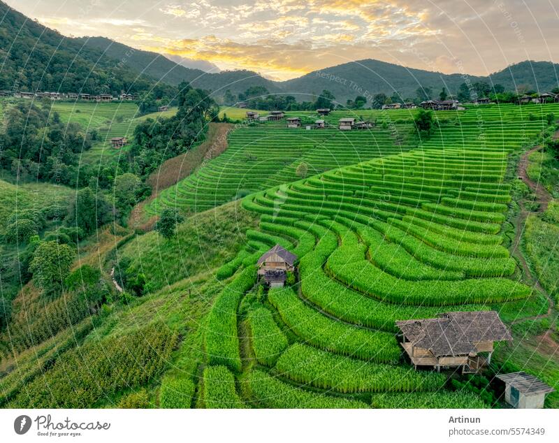 Landschaft mit grünen Reisterrassen inmitten der Berglandwirtschaft. Reiseziele in Chiangmai, Thailand. Terrassenförmig angelegte Reisfelder. Traditionelle Landwirtschaft. Asiatisches Essen. Thailand Tourismus. Naturlandschaft.