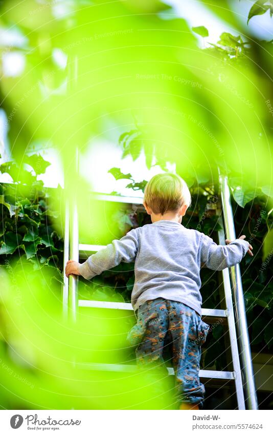 schön vorsichtig - kleiner Junge auf der Leiter Kind Konzentration Gefahr mutig gefährlich hoch hochklettern Gleichgewicht Klettern steigen festhalten